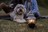 Barebones Living Railroad Lantern